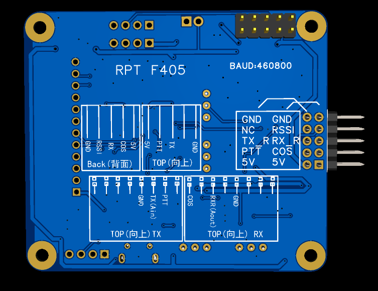 405 RPT Board Back